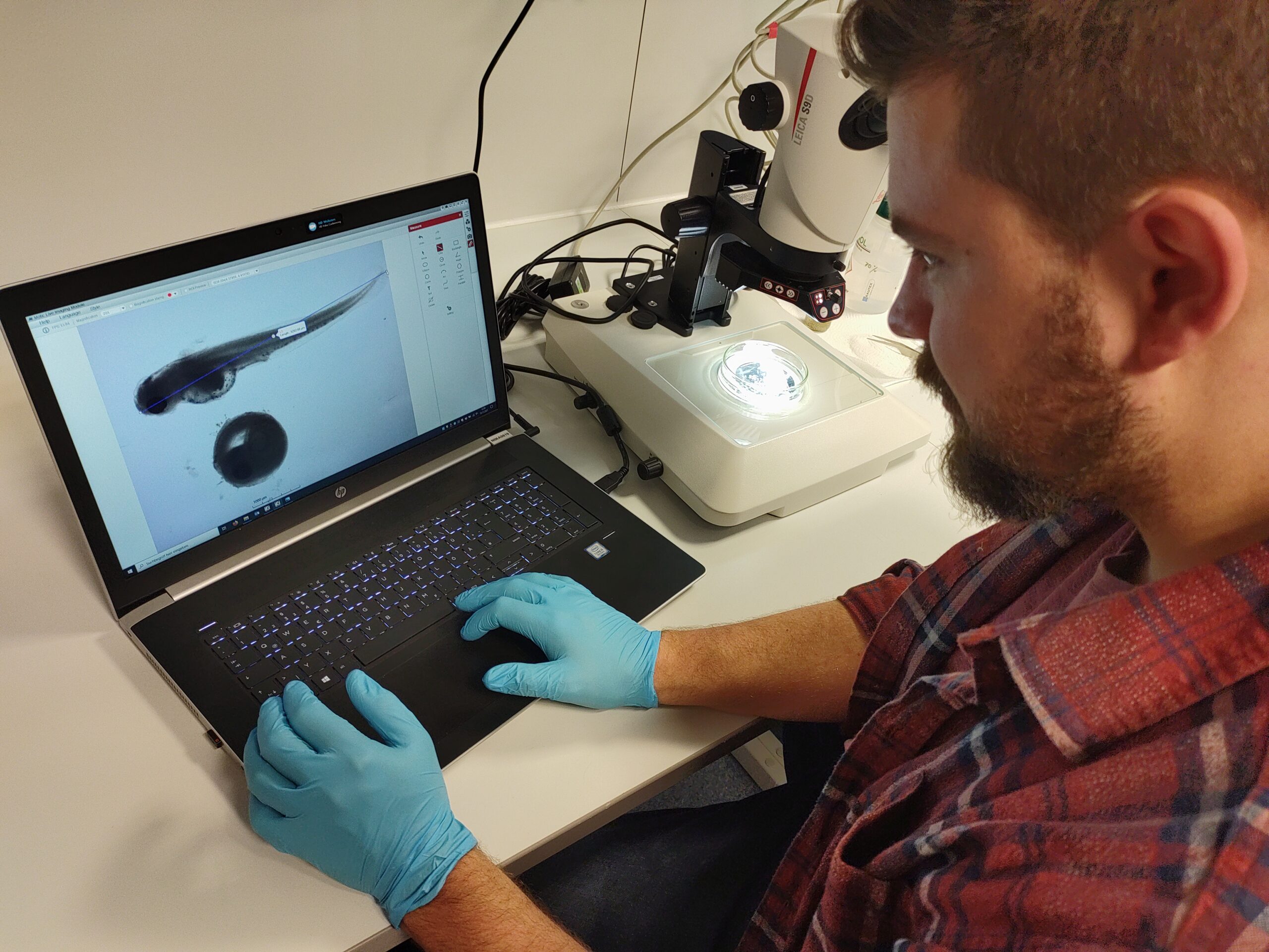 Research at the Research Institute for Farm Animal Biology (FBN)