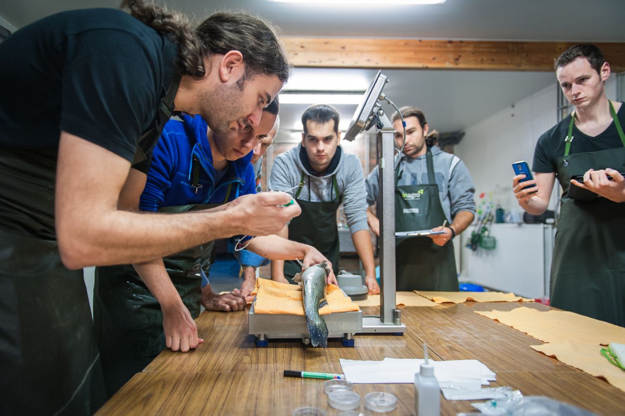 Second international workshop pikeperch unites aquaculture specialists