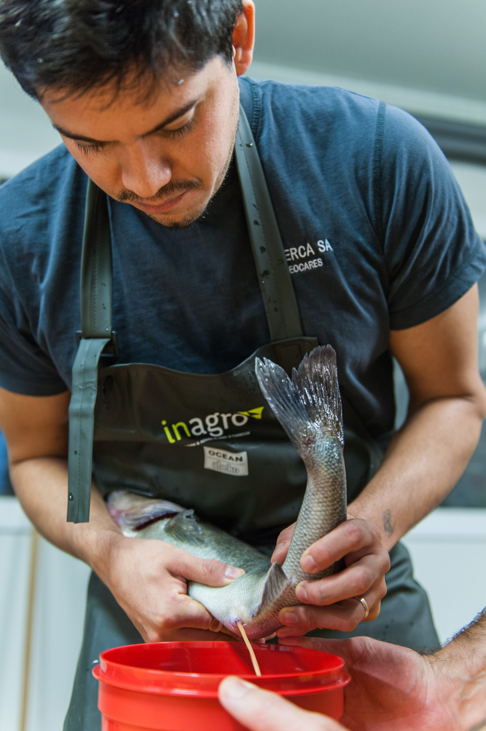 Workshop artificial reproduction of pikeperch @ Inagro
