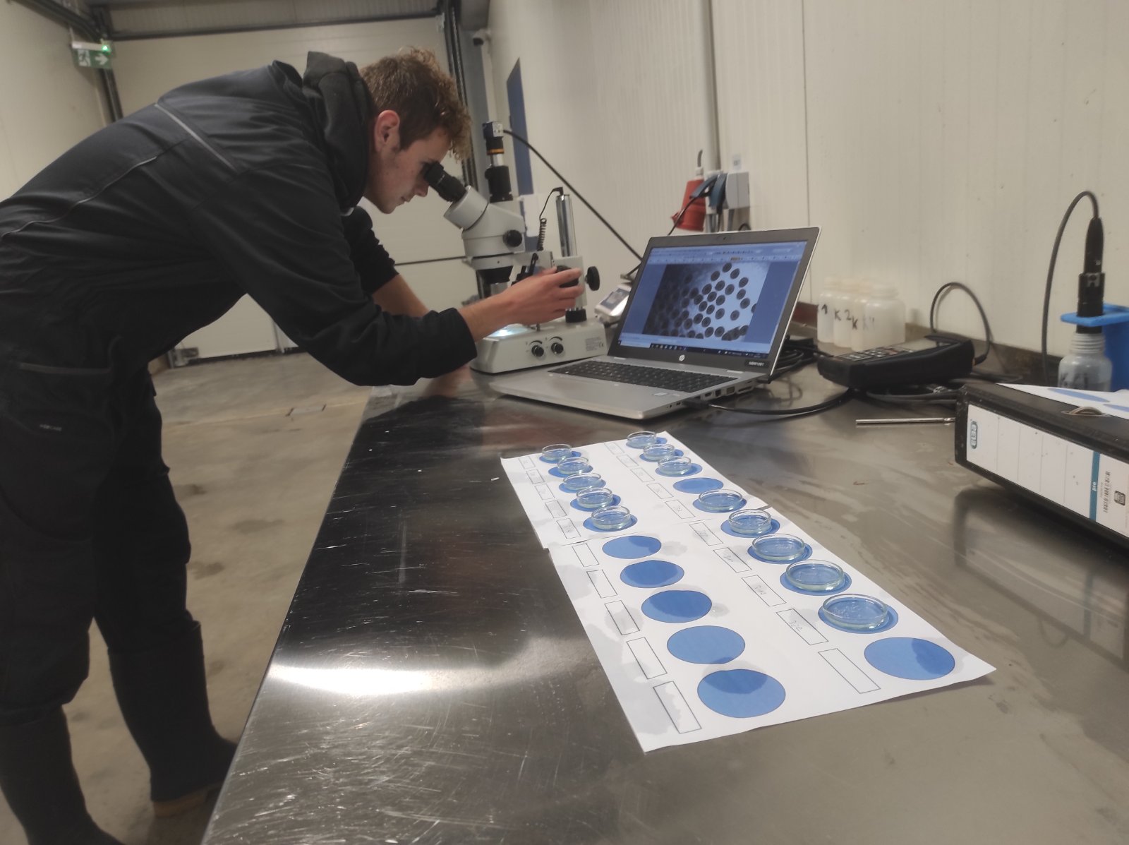 How research meets industry – a story of MATE HAKI and Kaiserzander