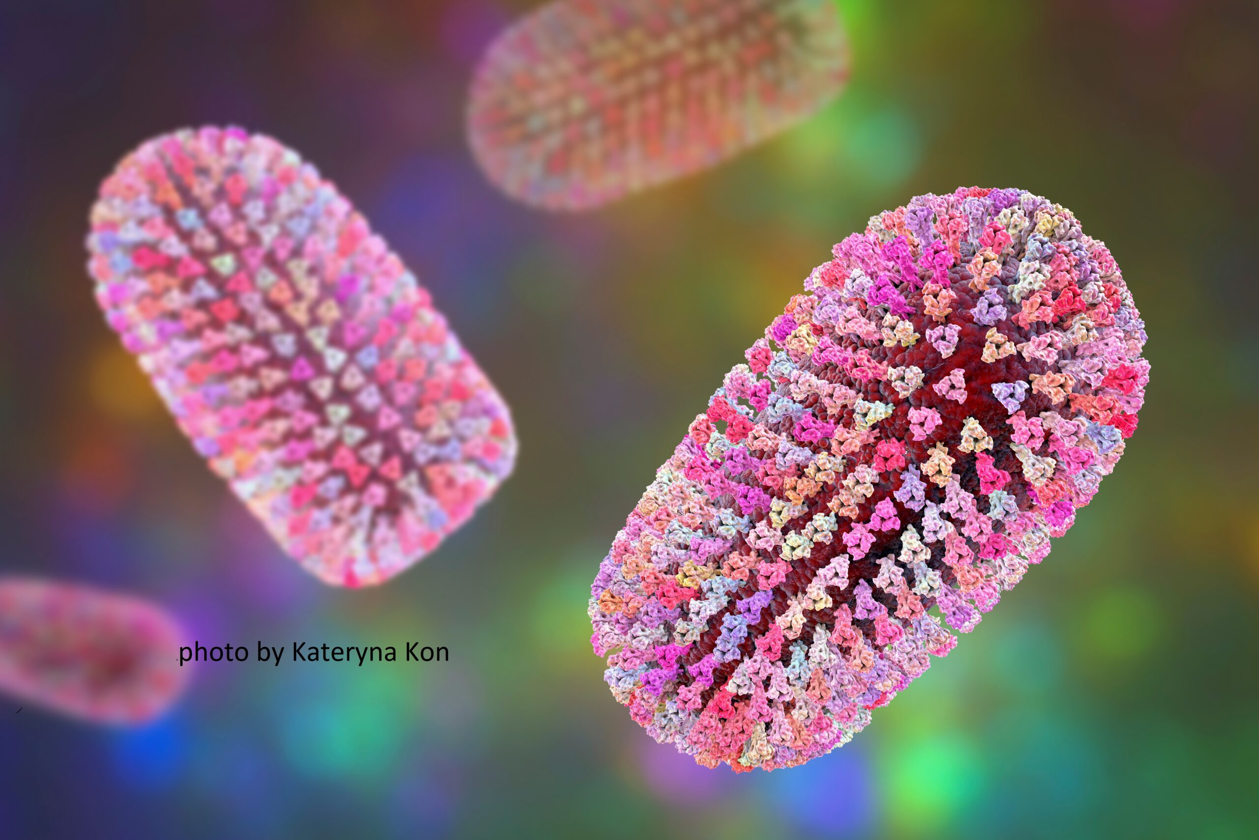 Current state of the art for Percid Rhabdovirus (PRV)
