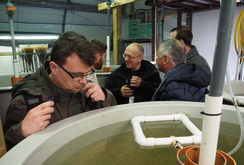 Percid workshop in Ireland addresses issues in reproduction